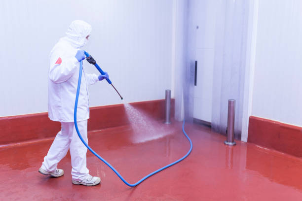 Best Rust Removal  in Wolf Creek, UT